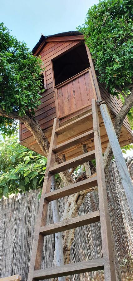 Villa Rufol เดลแตเบรอ ภายนอก รูปภาพ